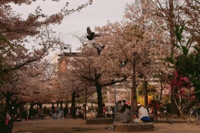 銅座公園イメージ